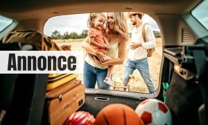 Parents with kid going to picnic with car